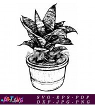 Plant In A Black And White Pot SVG 2